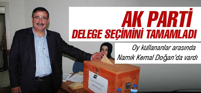 AK Parti Delege Seçimini Tamamladı