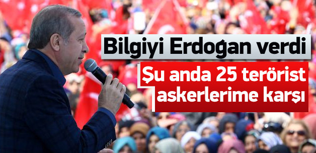 Erdoğan: Ağrı'da 25 terörist askerlerime karşı
