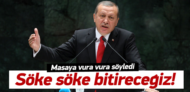 Erdoğan: Söke söke bitireceğiz