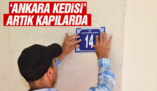 'Ankara Kedisi' logolu numaralar asılıyor