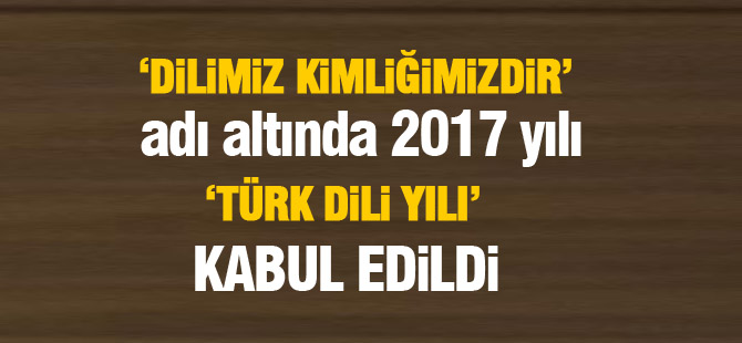 2017 'Türk Dili Yılı' kabul edildi