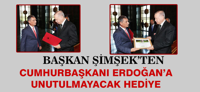 Başkan Şimşek'ten, Cumhurbaşkanı Erdoğan'a hediye