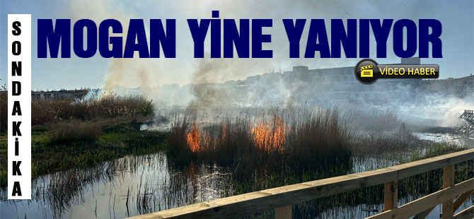 Mogan Gölü sazlıklarda yangın