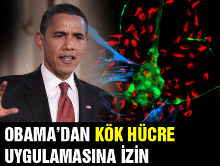 Kök hücre araştırmasına Obamadan izin