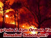 İhmal'mi Sabotajmı?