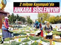 Ankara süsleniyor