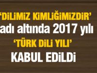 2017 'Türk Dili Yılı' kabul edildi