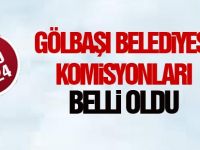 Komisyonlar belli oldu