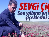 Türkiye’nin ilk tescilli bitkisi çiçeklerini açtı