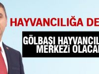 Gölbaşı Hayvancılığın Merkezi olacak