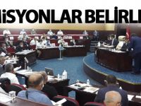 1 YIL GÖREV ALACAK KOMİSYON ÜYELERİ BELLİ OLDU