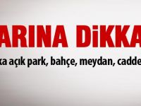 İçişleri Bakanlığından 81 ile genelge