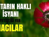 Hacılar Muhtarından Sevgi Çiçeği çıkışı