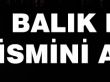 Geri Dönüşümle oluşturulan Balık Heykel İsmini Arıyor