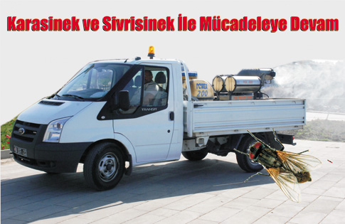 Karasinek ve sivrisinek ile mücadele Ekim ayına kadar sürecek