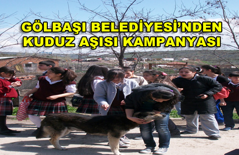 GÖLBAŞI BELEDİYESİNDEN KUDUZ AŞISI KAMPANYASI