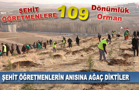 Şehit Öğretmenlere 109 Dönümlük Orman