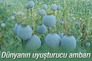 Dünyanın uyuşturucu ambarı