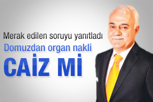 Hatipoğlu: Domuzdan organ alınması caiz