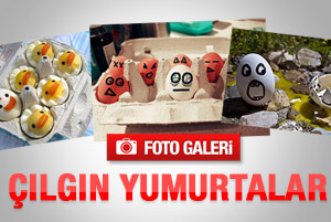 Çılgın Yumurtalar