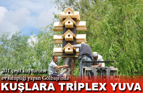 Kuşlara 4 katlı yuva