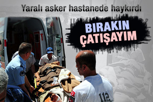 Bırakın çatışayım