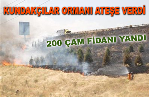 Gölbaşında Orman Yangını