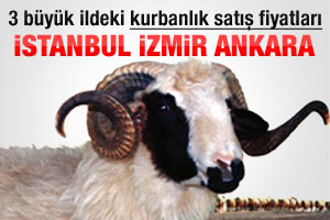 büyük ildeki kurbanlık satış fiyatları