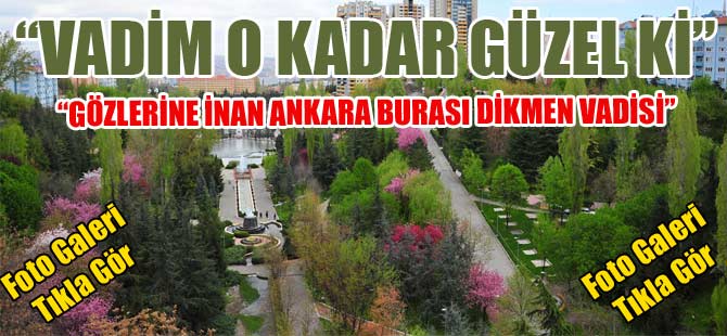 VADİM ÇOK GÜZEL