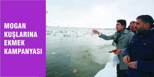 Kuşlar İçin Ekmek Kampanyası