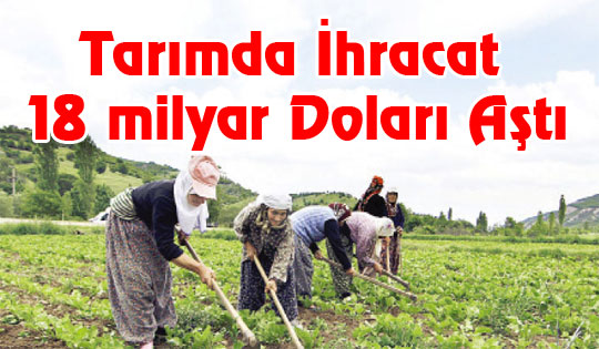 -Tarımda ihracat 18 milyar doları aştı