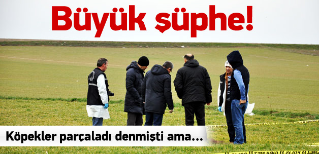 Büyük şüphe! Köpekler parçaladı denmişti ama...