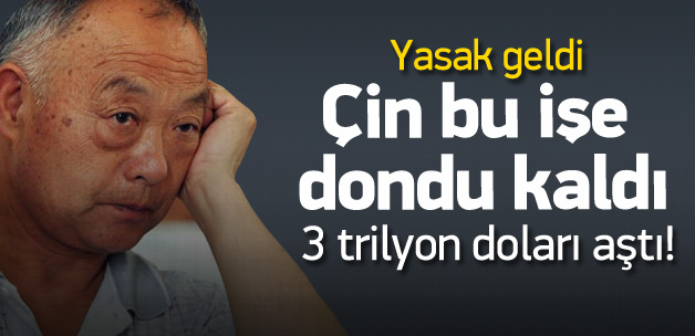 Çinliler bu işe dondu kaldı