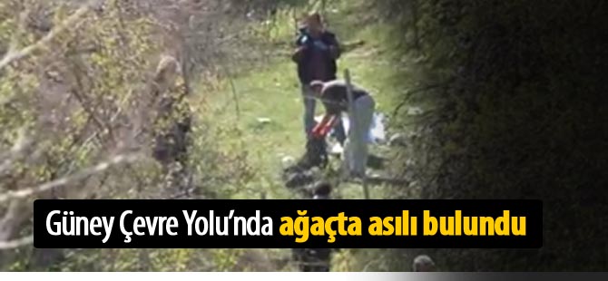 Çevre yolunda ağaca asılı ceset bulundu