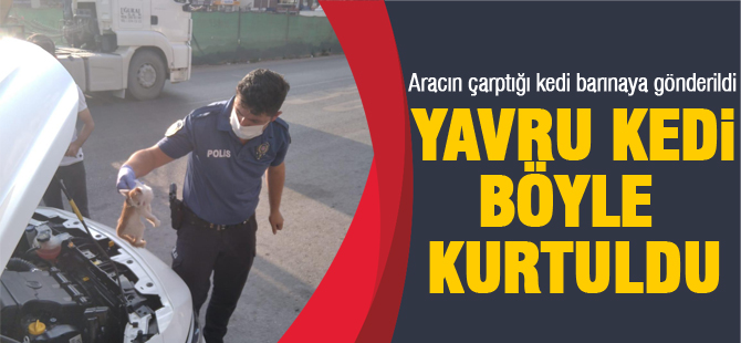 Araç çarptı, başka araca sığındı