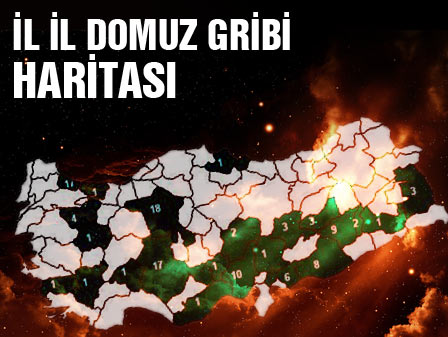 İl il domuz gribi haritası