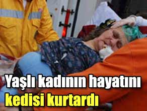 Kedisi kurtardı