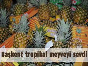 Başkent tropikal meyveyi sevdi