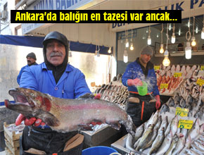 ANKARADA BALIĞIN EN TAZESI VAR, ANCAK!..