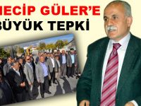 NECİP GÜLER’E TEPKİ
