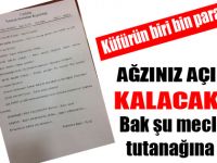 AK Partili vekilden seçme küfürler!