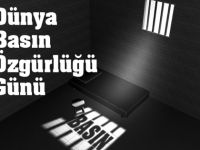 Basın özgürlüğünde Türkiye tepetaklak