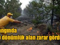 Yine Ciğerlerimiz Yandı !