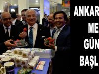 1.      ANKARA’DA MERSİN GÜNLERİ BAŞLIYOR
