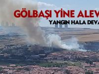 Gölbaşı'nda ağaçlık alanda yangın