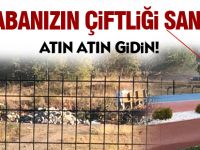 Boş bulan döküyor, arkasına bile bakmıyor