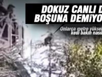 Gölbaşı'nda kedi  kurtarma operasyonu