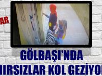 Hırsızlar iş başında