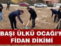 Gölbaşı Ülkü Ocaklarından fidan dikim etkinliği