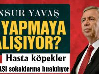 Hasta köpekleri Gölbaşı sokaklarına salıyorlar